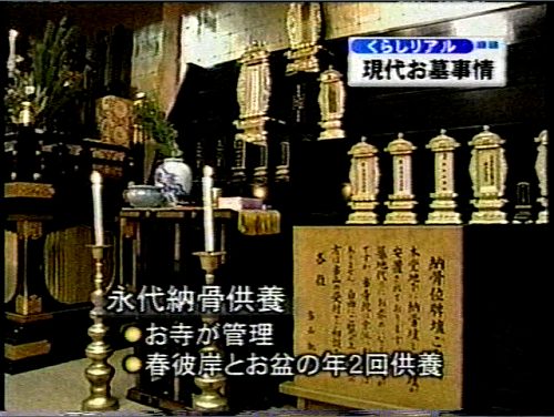 �{��e���r ���炵���A���R